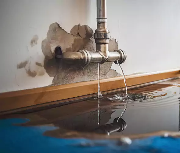 Professional Water Damage Restoration Experts in Hampton, VA — Fast, Reliable & Certified