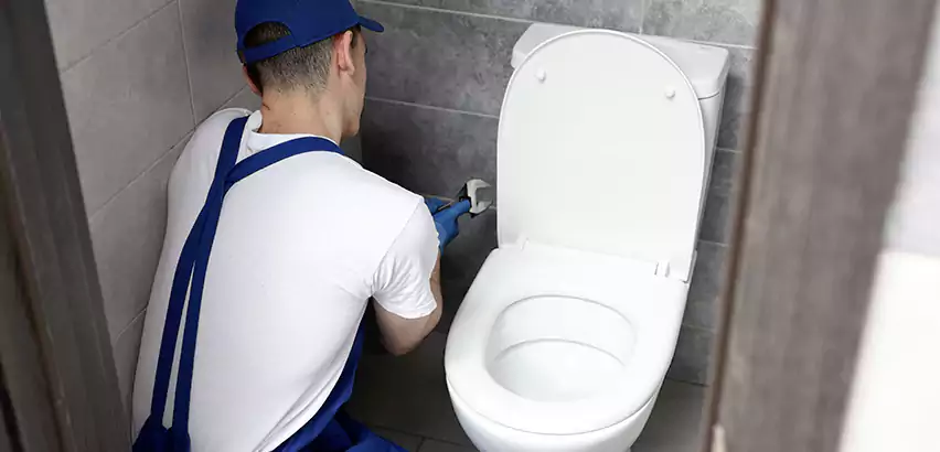 Toilet Lid Replacement in Hampton